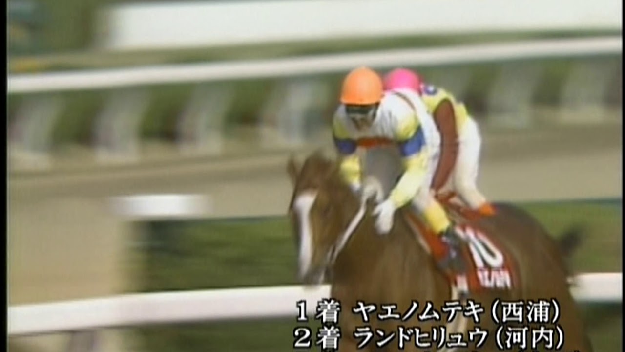 20世紀の名馬　81位　ヤエノムテキ