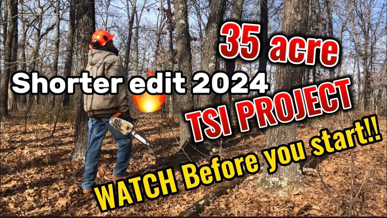 TSI/FSI Timber stand improvement for better deer and turkey habitat