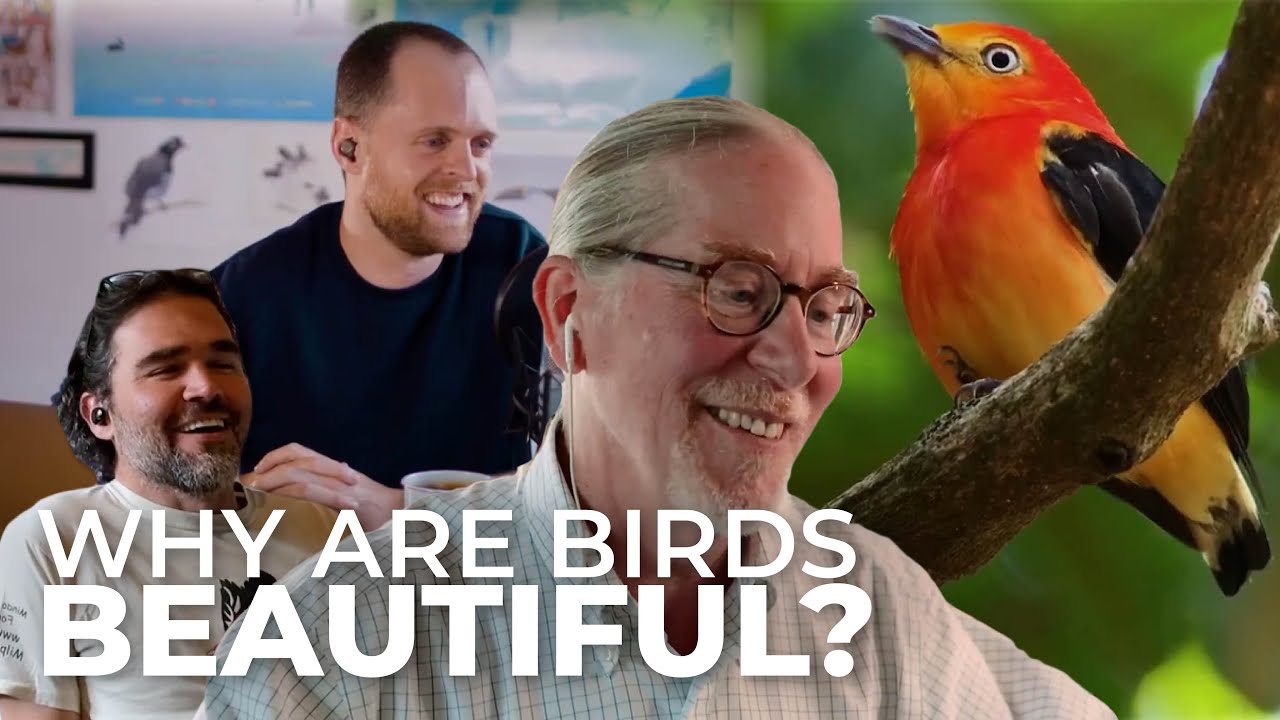 The Evolution of Beauty with Ornithologist Richard O. Prum | Studio Sessions Episode 10