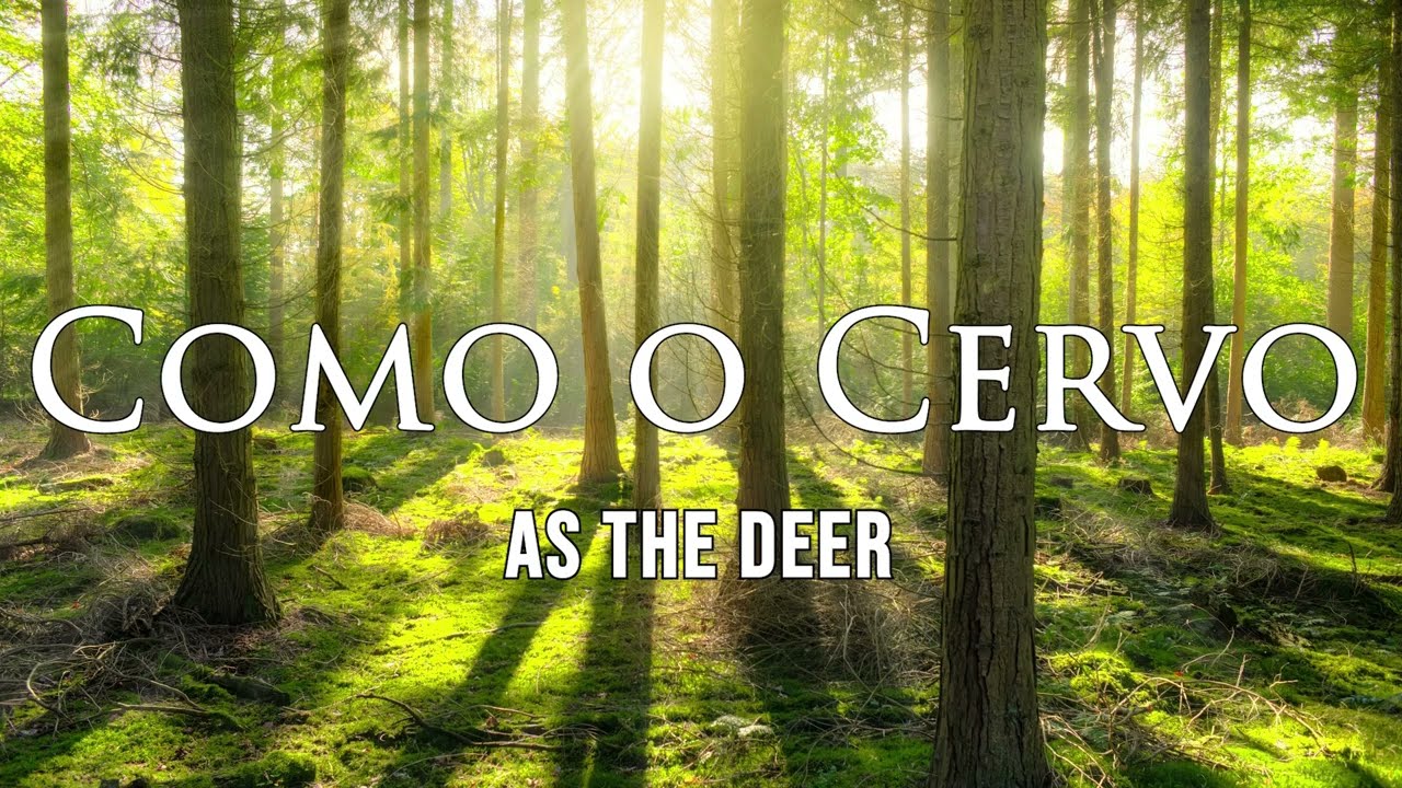 Como o Cervo / As The Deer (Portuguese) / piano instrumental com letras