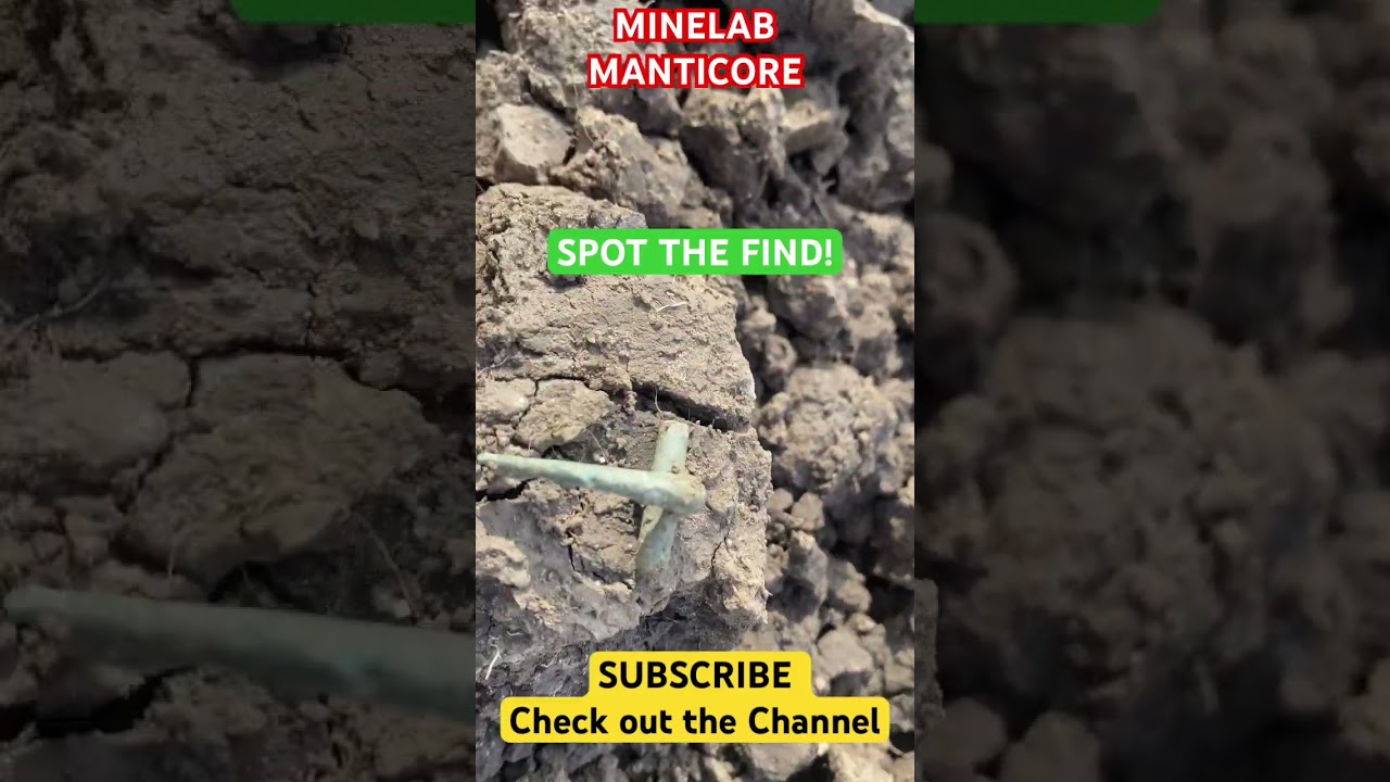 ROMAN FIBULA! WOW 🤩 spot the find #metaldetecting #minelabmanticore #minelab #manticore