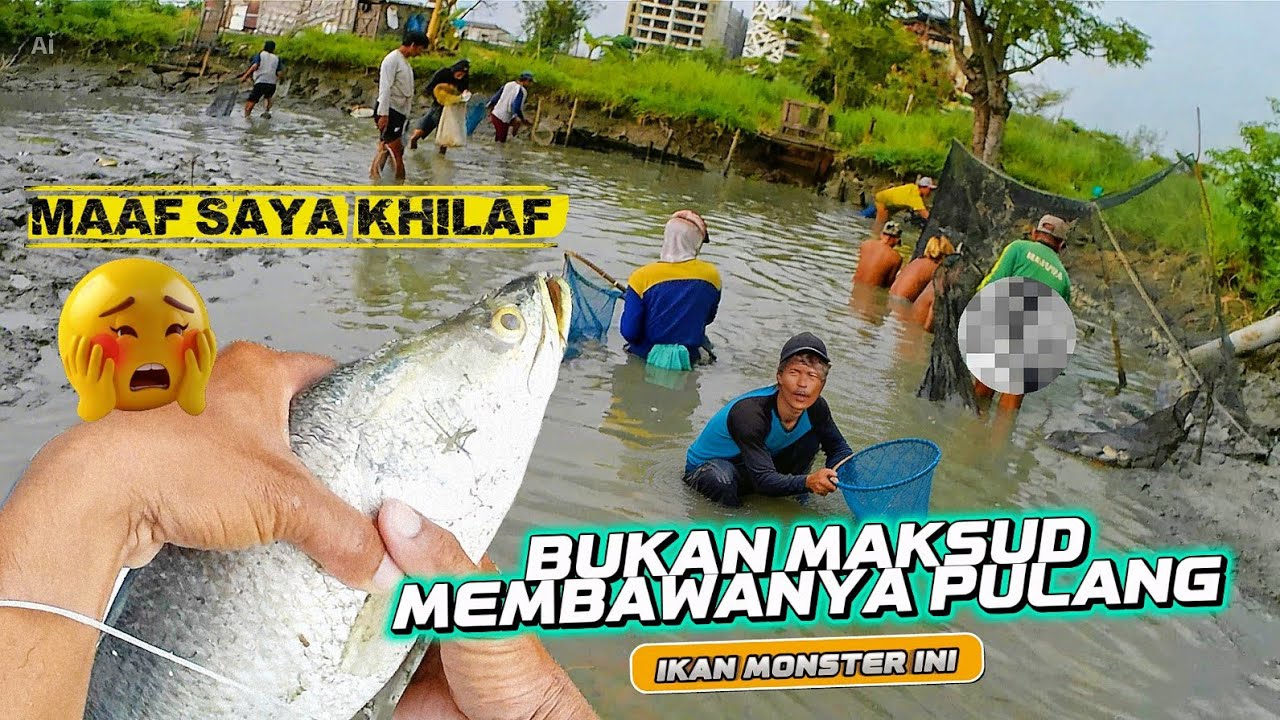 MAAF SAYA KHILAF! Gak Sengaja Bawa Pulang Ikan 'Rebutan' Orang Lain...yang bukan hakku!