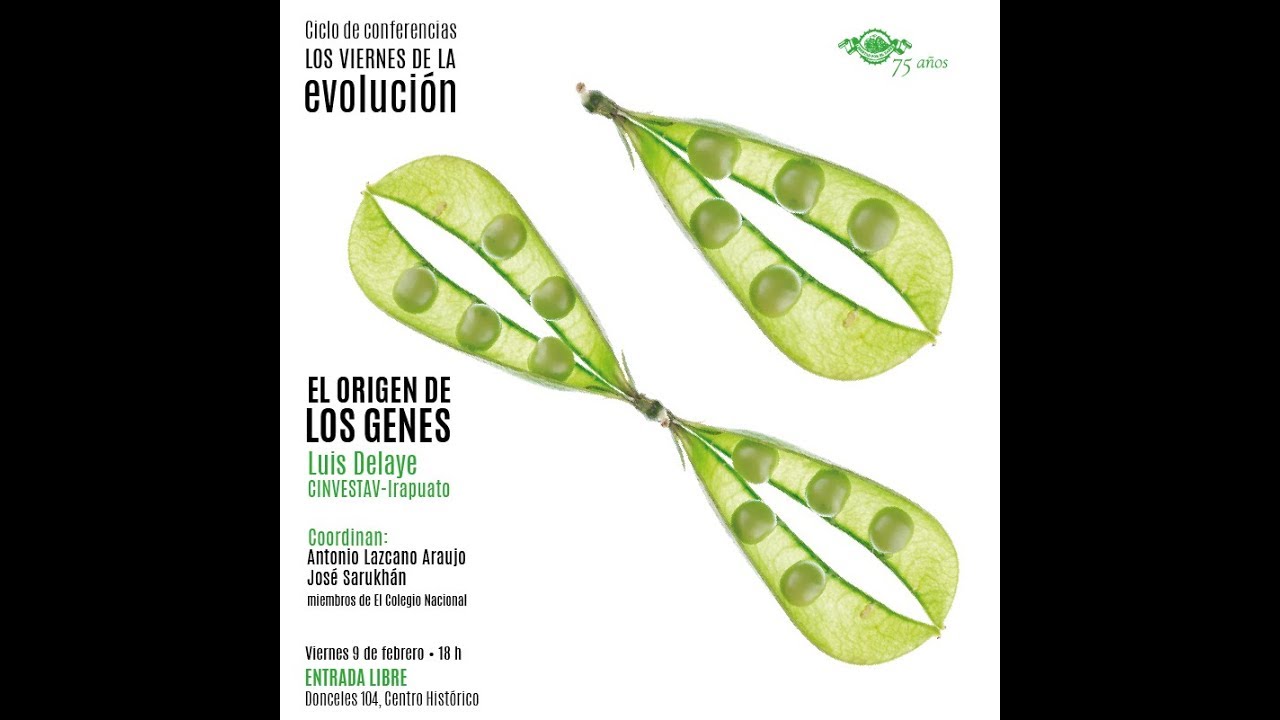 Los viernes de la evolución. Conferencia: 