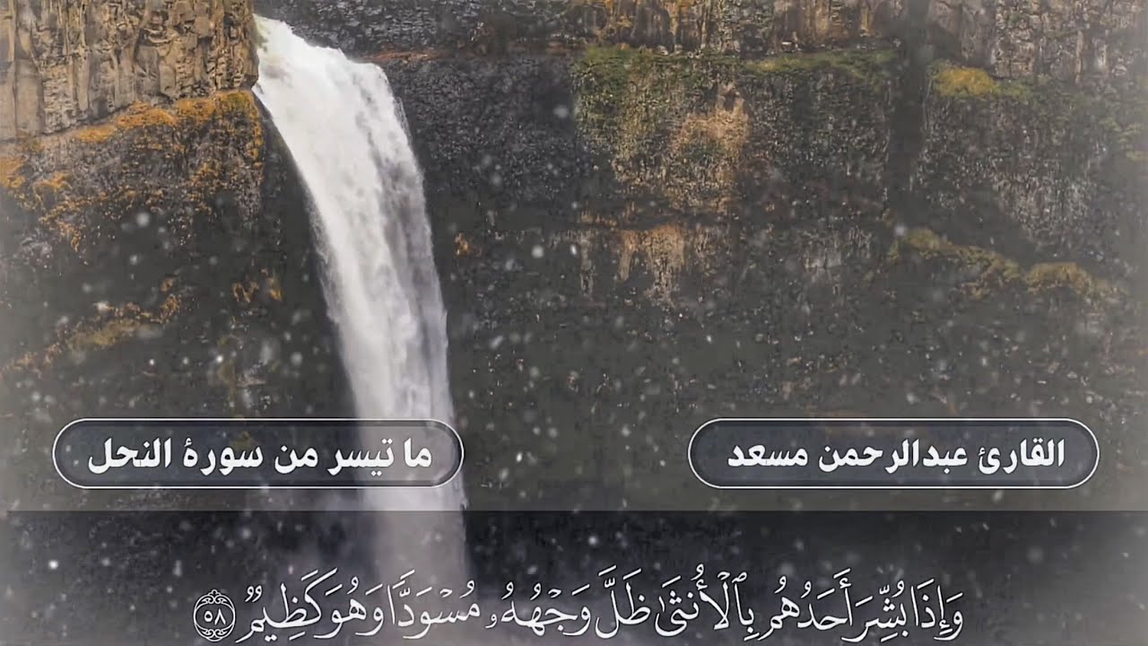 القارئ عبدالرحمن مسعد بتلاوة خاشعة | ولو يؤاخذ الله الناس بظلمهم