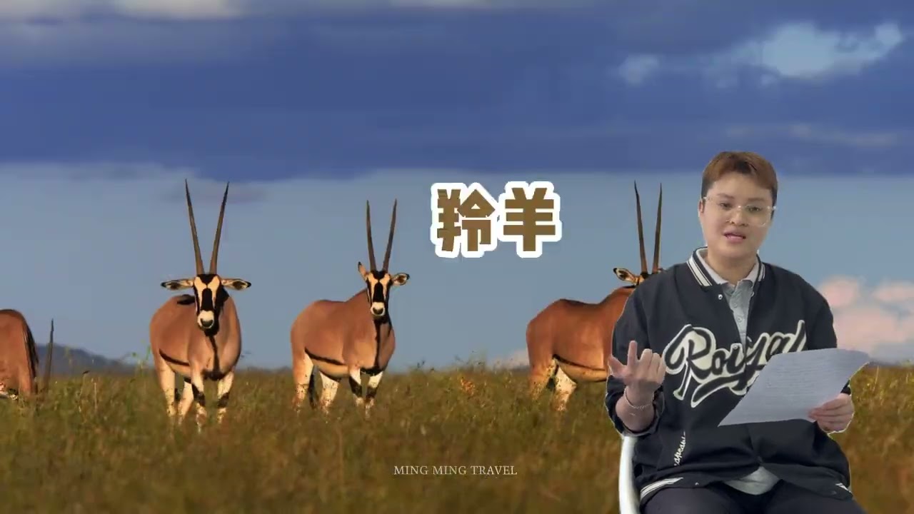 🌎跟着明明旅行社 &middot; 探索南非 & 毛里求斯奇境之旅