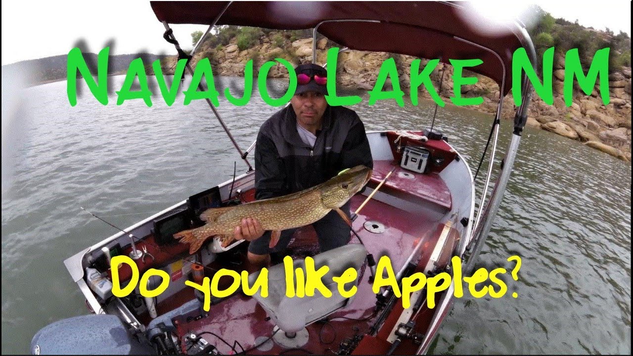 Fishing at Navajo Dam, NM - Spoonplugging with Steve