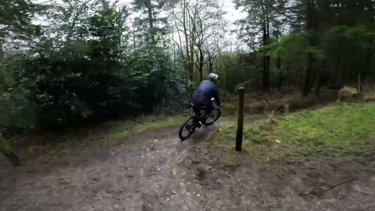 Haldon Forest Exeter Red Route part 1 . 