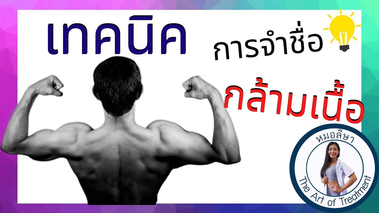 เทคนิคการจำชื่อกล้ามเนื้อ ตอน 1 | ลิษา พงศ์ไพบูลย์