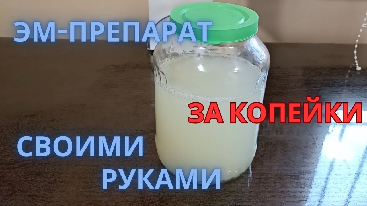 Эффективные микроорганизмы для компоста своими руками, в домашних условиях, почти бесплатно.