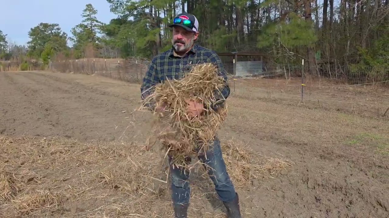 From Soil to Table: Our No-Till Regenerative Farm Practices