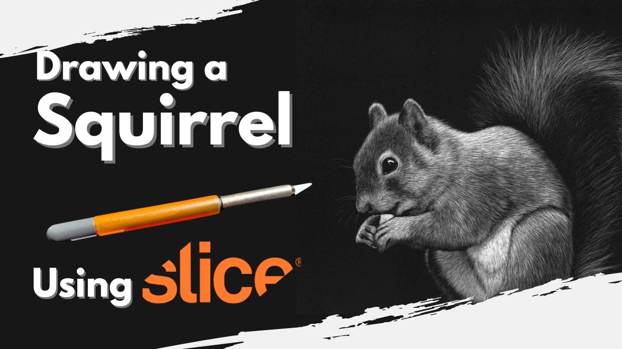 How To Draw A Squirrel ... WITH SLICE TOOLS