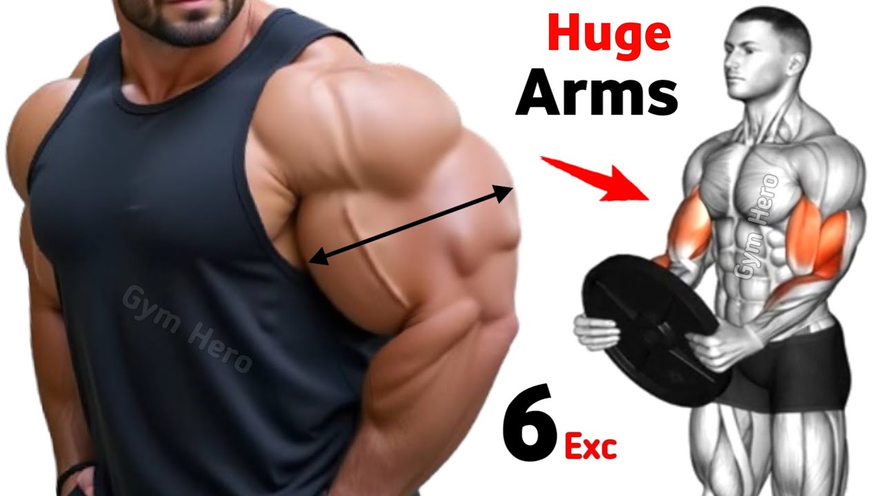6 Best Exercises to Get Huge Biceps and Triceps Fast