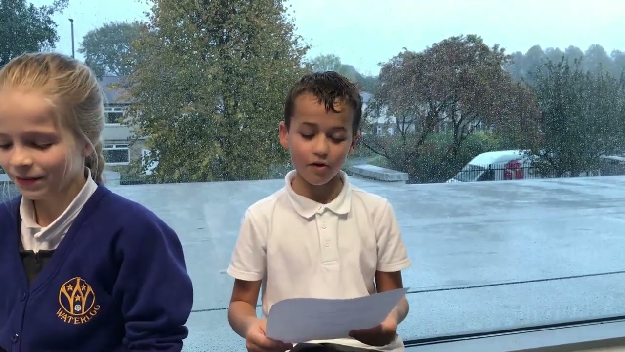 Year 5 Project - Bird Houses