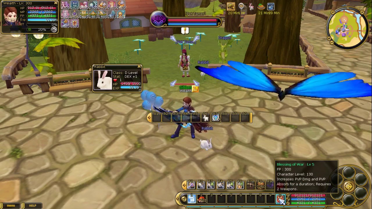 PERFECT PET vs MEGA PET GUIDE on Insanity Flyff tutorial series