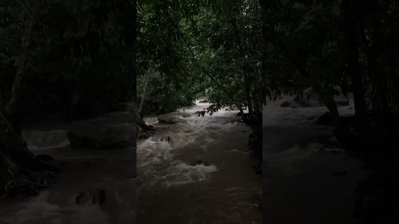 #travel  #NatureLovers #HiddenKerala #RainVlog #IdukkiBeauty #ScenicKerala #keralamonsoon