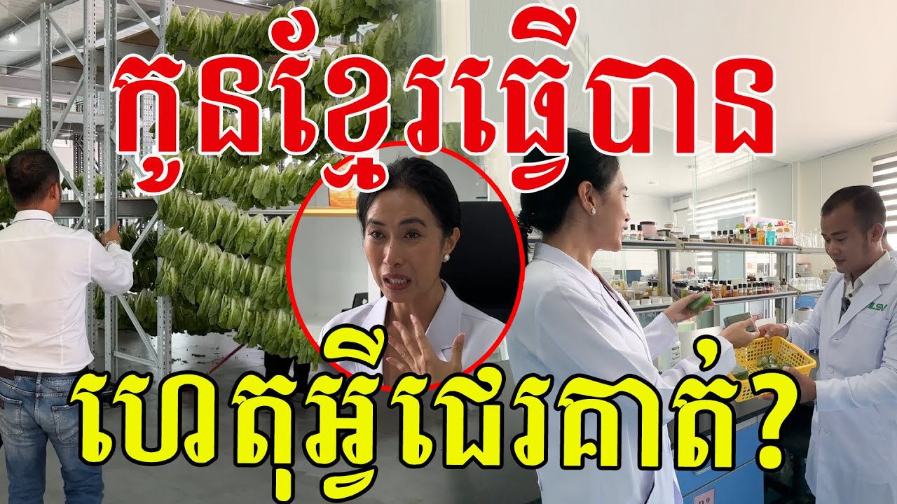 កូនខ្មែរធ្វើបានហើយ យកស្ពៃច្នៃជាសាប៊ូ ពិតជាល្អណាស់បានជួយកសិករកាន់តែរីកចម្រើន