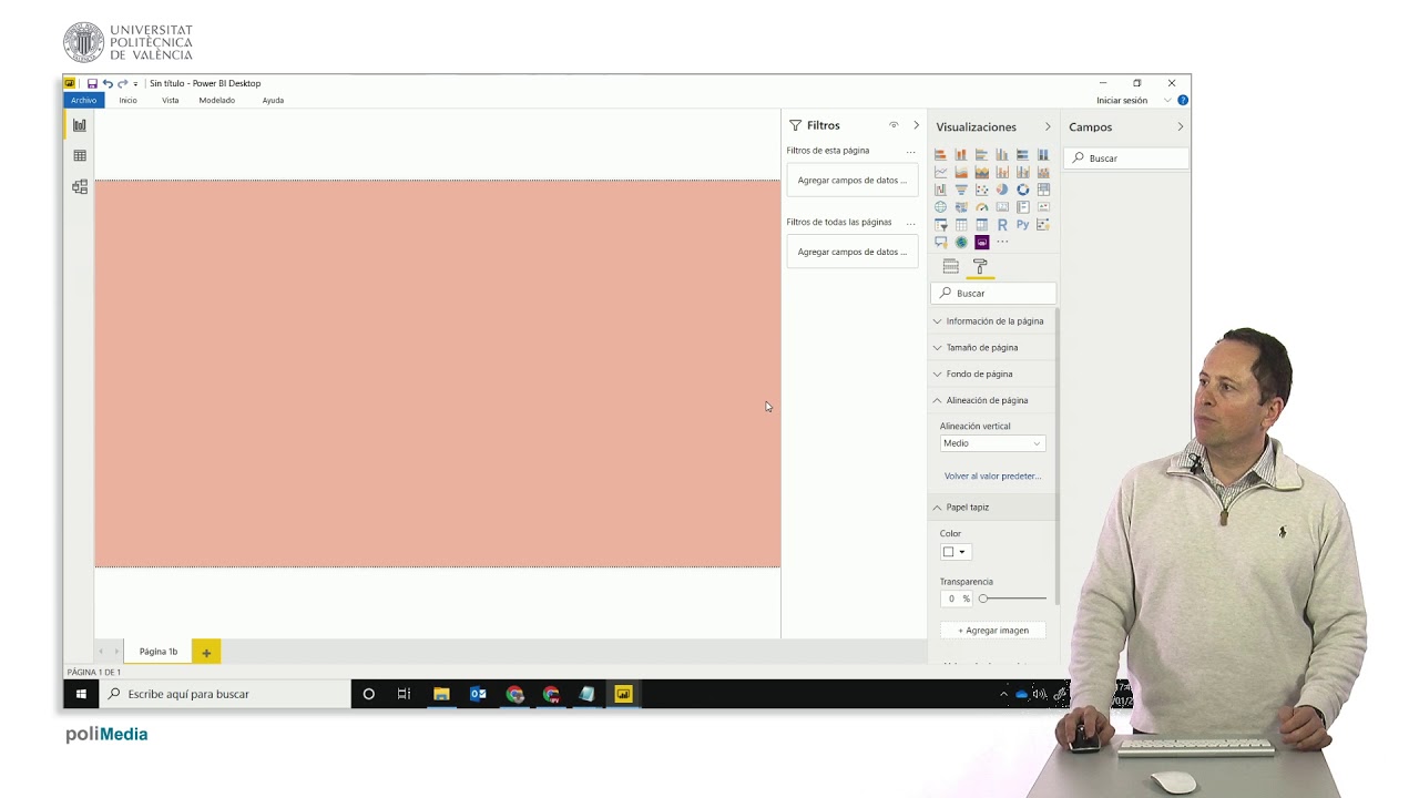MOOC Power BI. Visualización de gráficos, el canvas opciones de formato | 74/136 | UPV