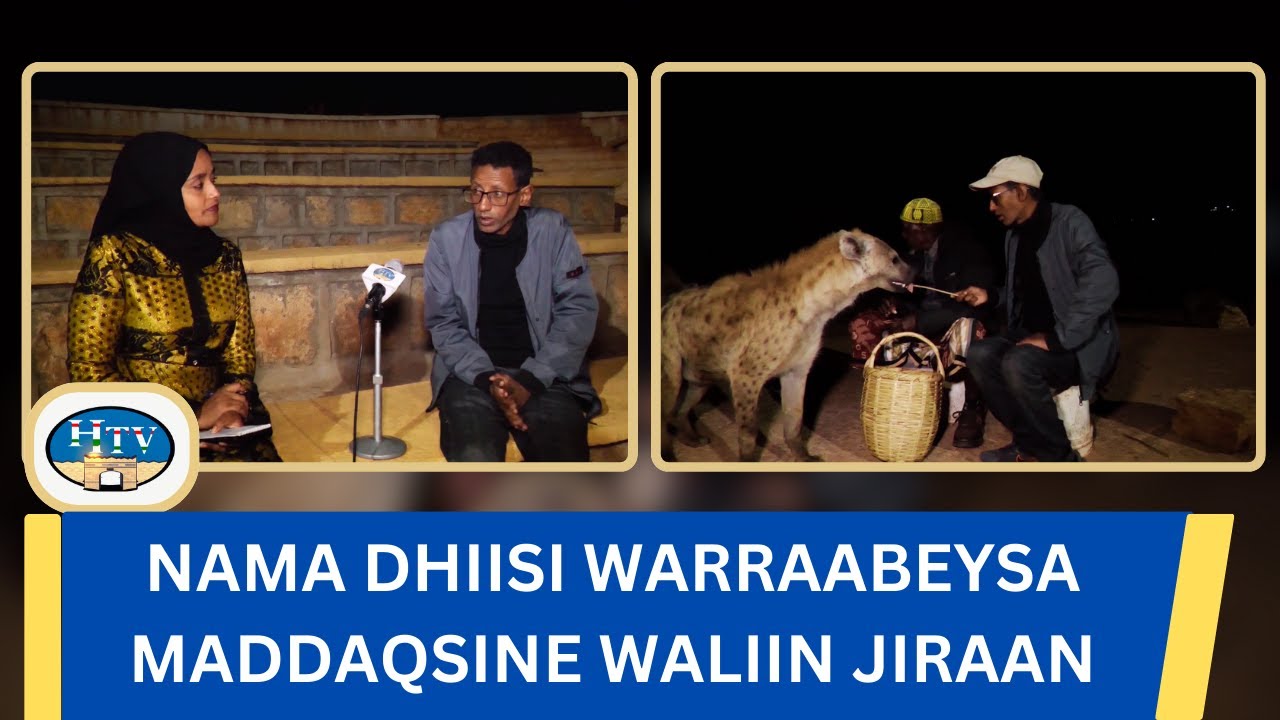 Nama dhiisi warraabeysa maddaqsine waliin jiraan