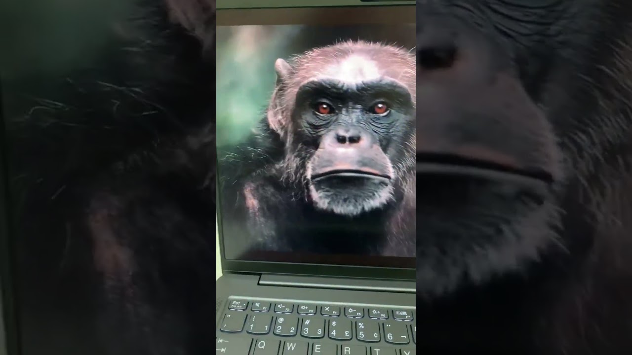 Unboxing Lenovo YOGA, configura&ccedil;&otilde;es nos coment&aacute;rios! #unboxing #informatica #notebook #satisfat&oacute;rio