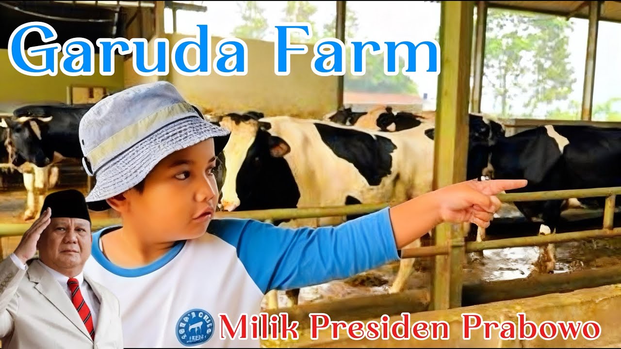 Peternakan Sapi Milik Presiden Prabowo | Garuda Farm
