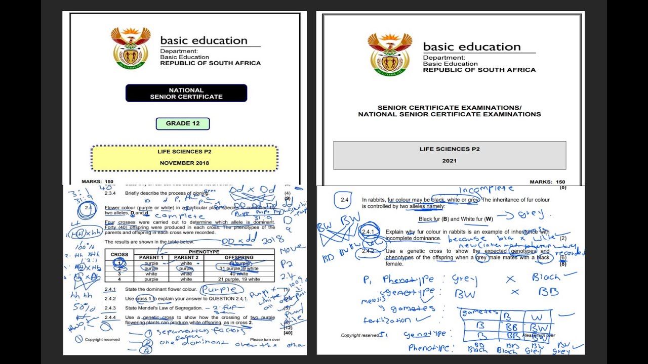 Monohybrid Crosses Past question papers| Genetics and Inheritances| Full Class | 21/03/2024 #grade12