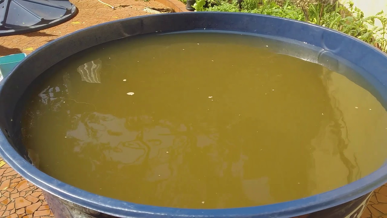Como eliminar o ferrugem da agua de uma forma simples e  fácil, deixa seu like e se escreva no canal