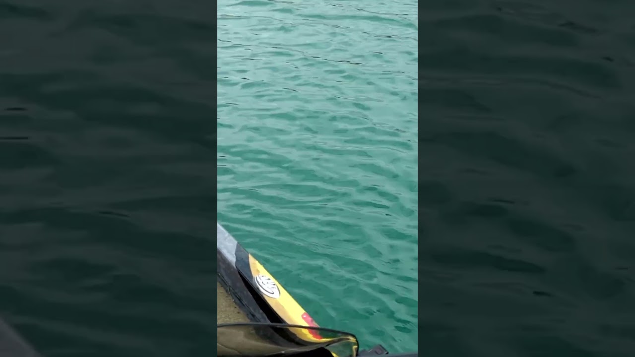 FISHING WITH THE SPRO MCSTICK #BassProShops #RangerBoats #FishGarmin #SPRO #SPROUSA #SPROFishing