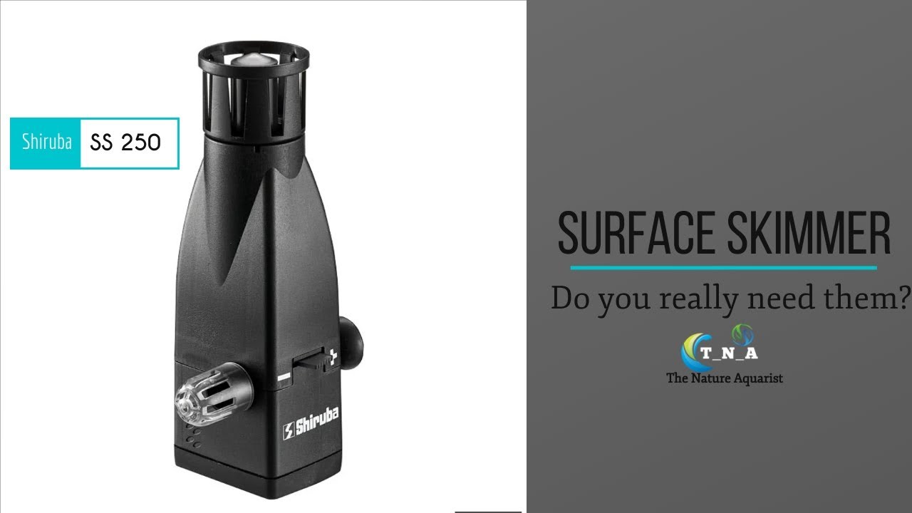 Surface Skimmer | Nature Aquarium | Why do you need them? | Shiruba | SS 250 Surface Skimmer