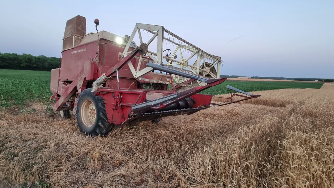 Moisson bl&eacute; 2026 entre joie titine r&eacute;parer et d&eacute;ception partie 2