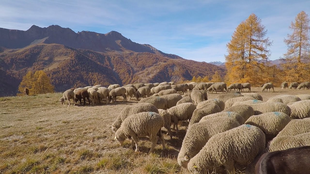 Rando Queyras Octobre 2017 ( 5ème partie)