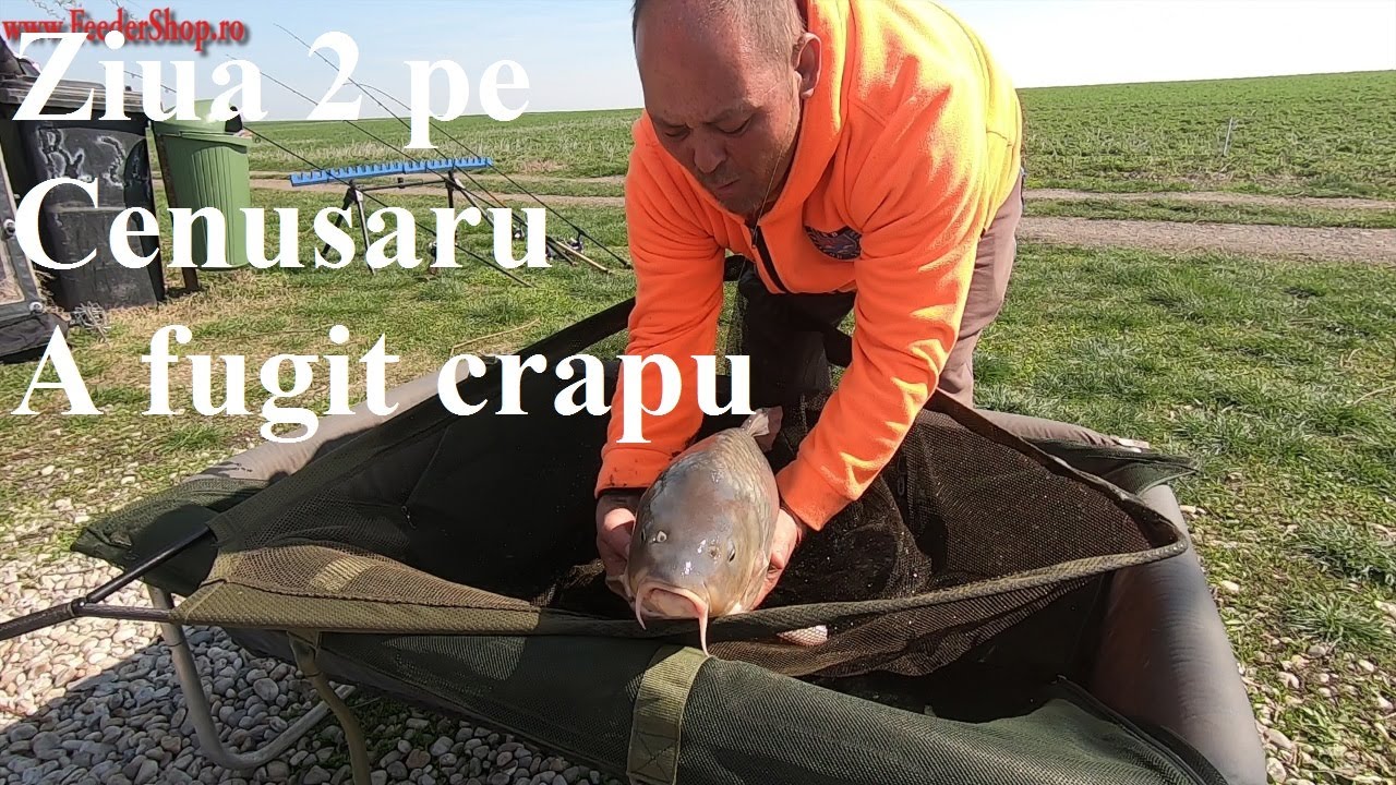 Ziua 2 pe Cenusaru ! Azi ne-a dat greu !