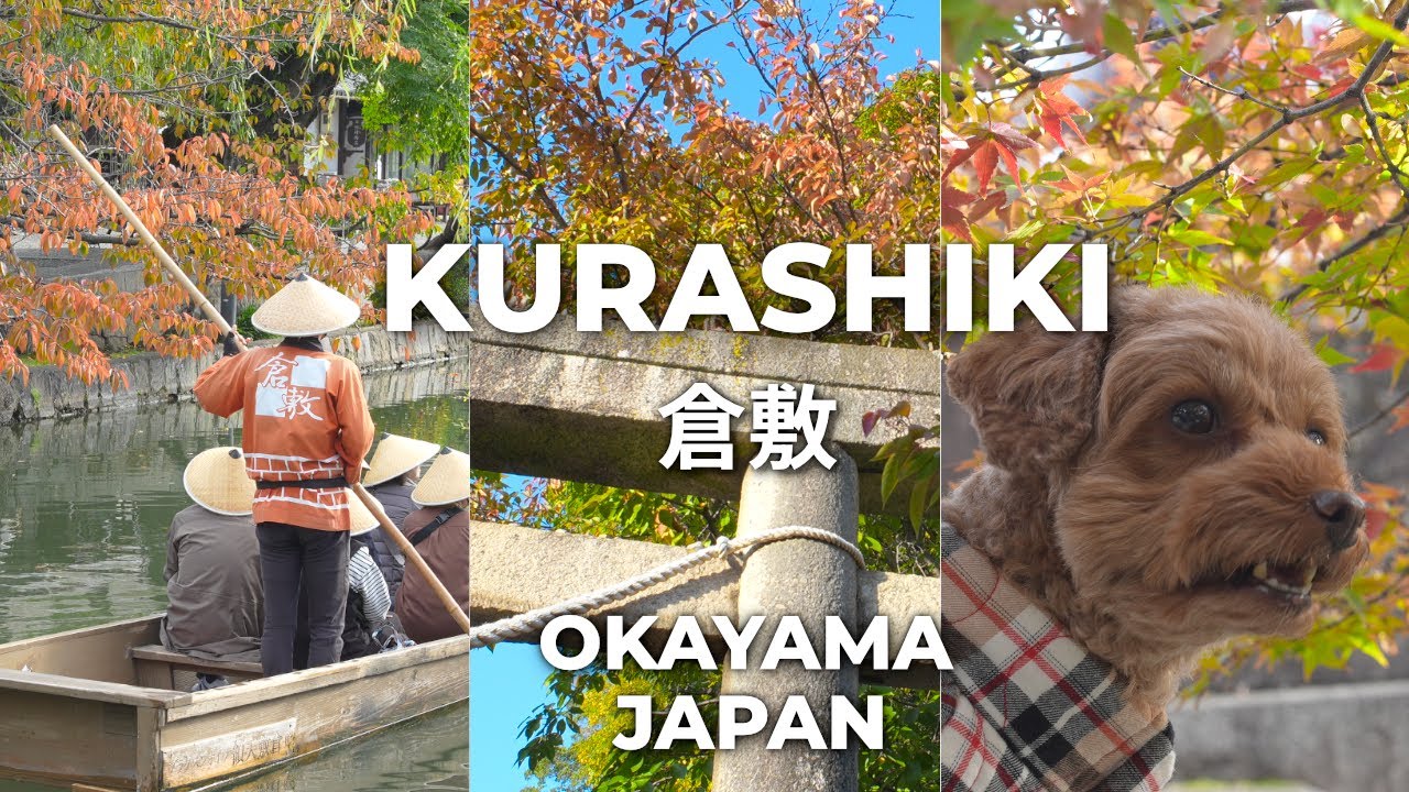 Autumn in Kurashiki with My Dog | Autumn Colors, History & Hidden Spots in Okayama