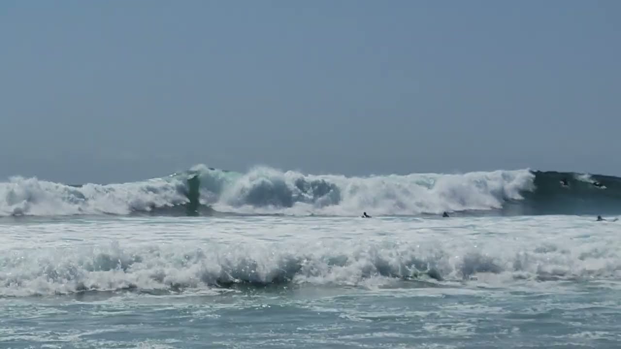 Surfers at  