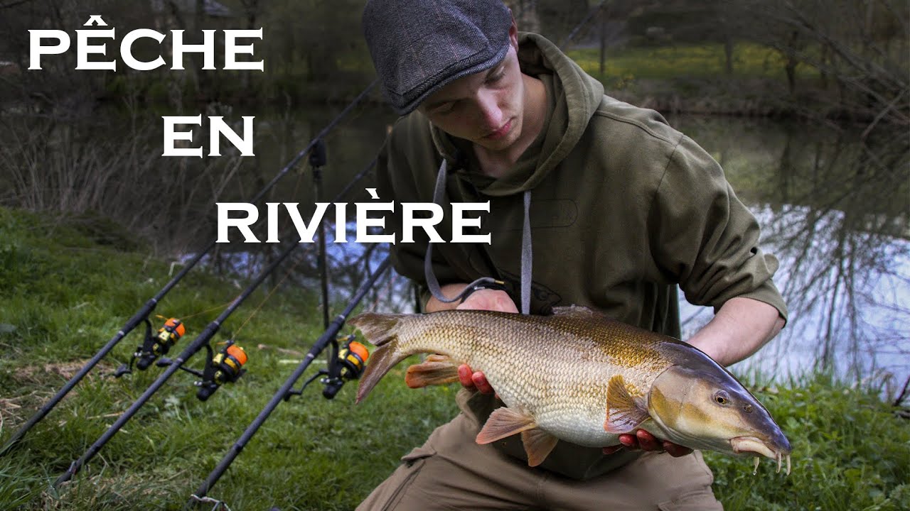 P&ecirc;che de la carpe en rivi&egrave;re - poisson inattendu&hellip;