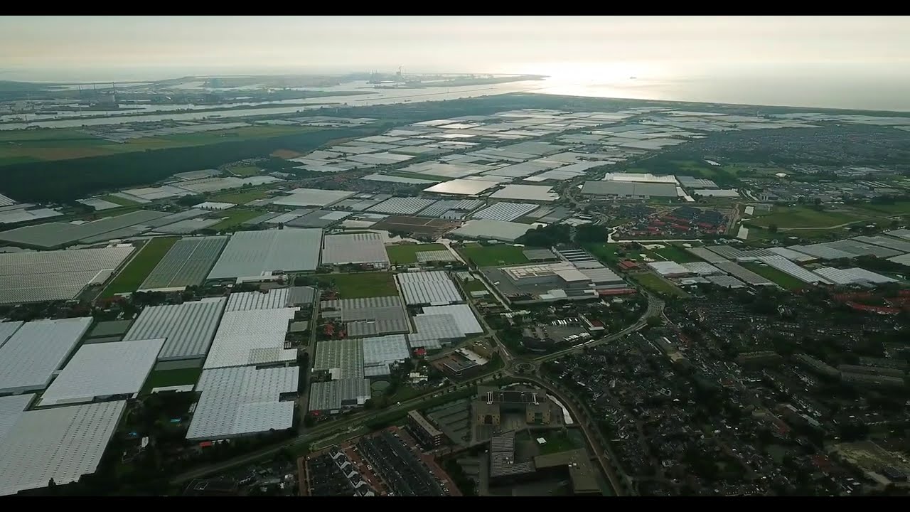【4K】Naaldwijk🇳🇱 from Above !!