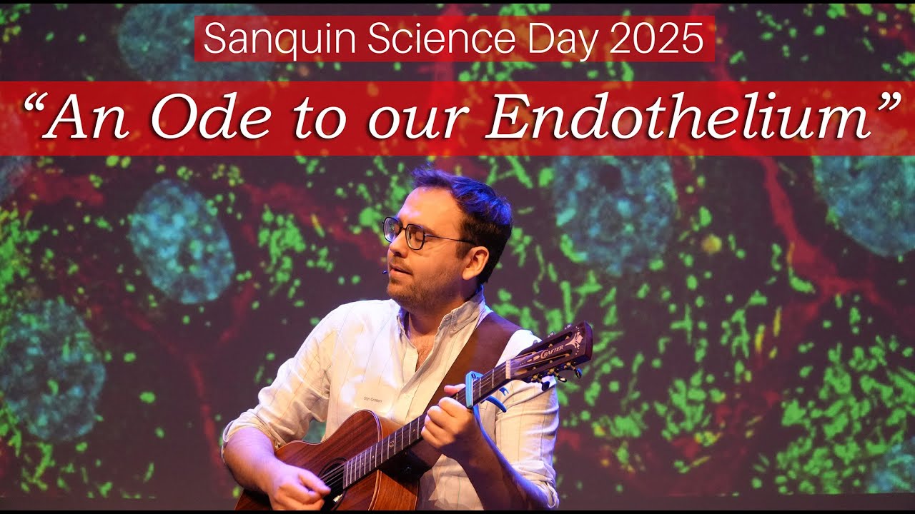 An Ode to our Endothelium - Thesis Award Presentation