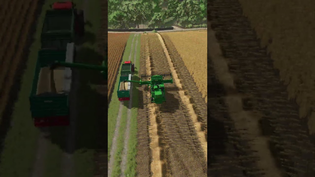 Oat harvest | Farming Simulator 25