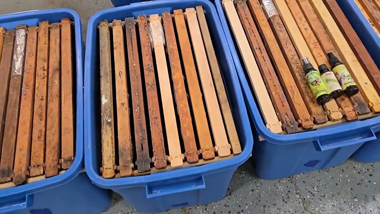 Prepping for swarm season. How I catch swarm.