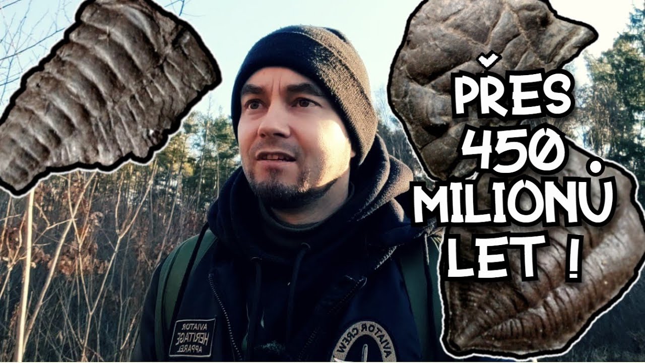 Přes 400 milionů let star&eacute; fosilie z metra D v Praze | Stabilizace zkamenělin