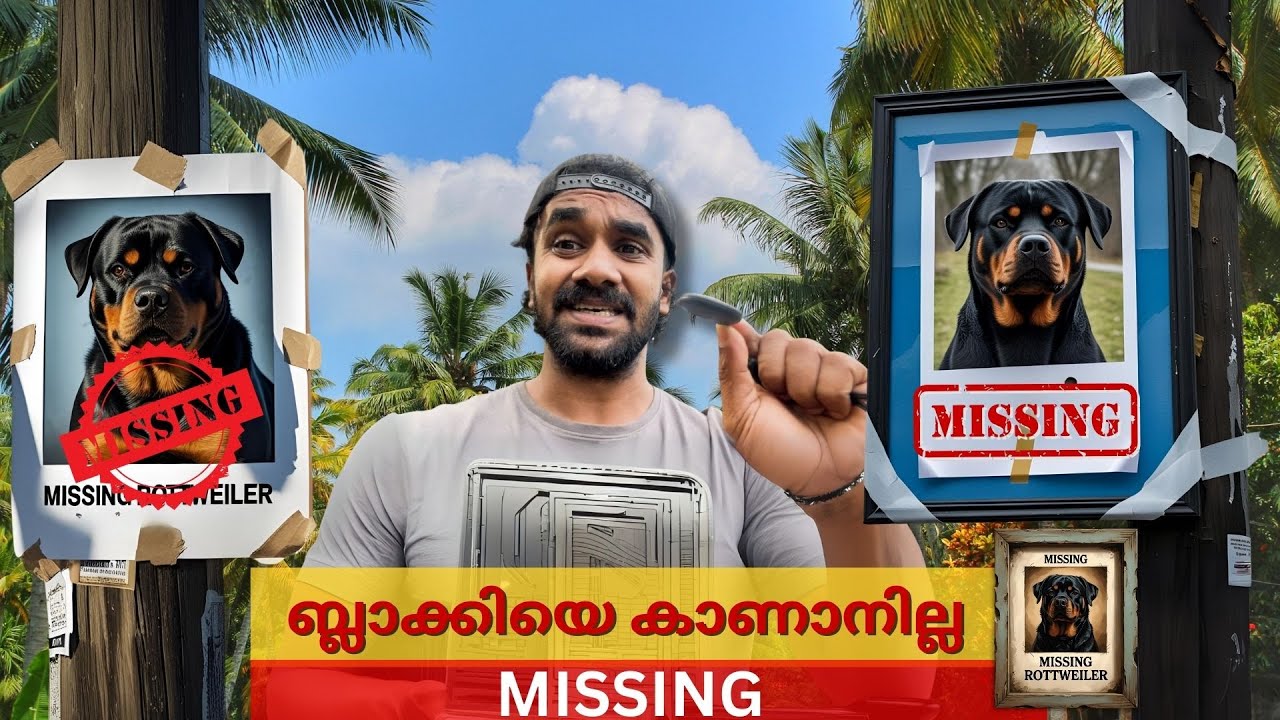 Blacky is Missing ⁉️ | ബ്ലാക്കിയെ കാണാനില്ല | ഇത് നായകൾക്ക് വാങ്ങരുത് ! #missingdog