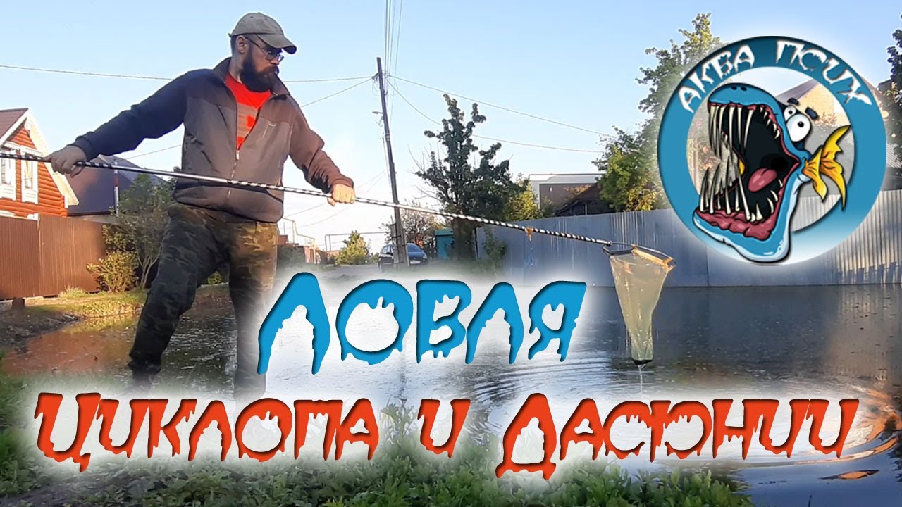 Как ловить Циклоп и Дафнию в открытых водоемах