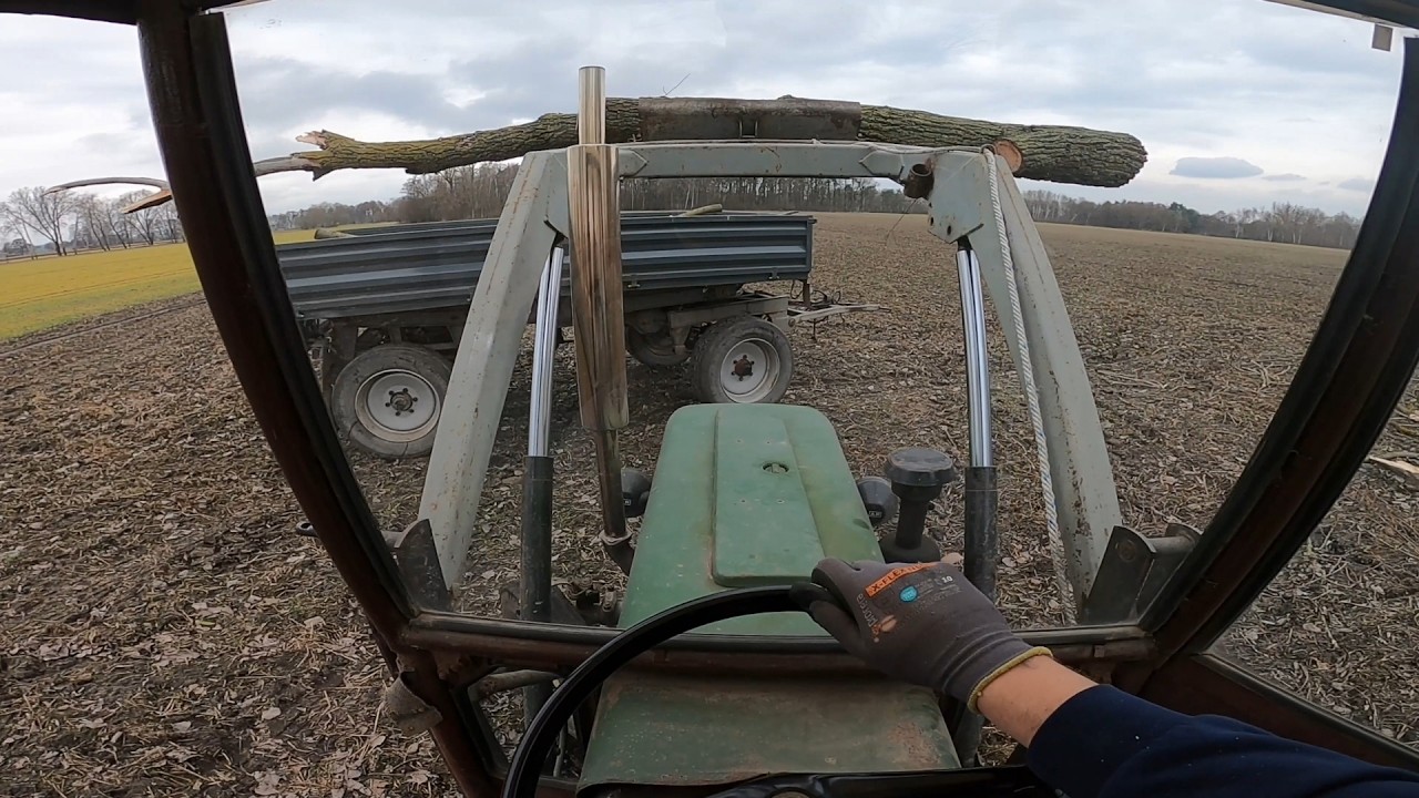 Były i ni ma || Wycinka dwóch wierzb