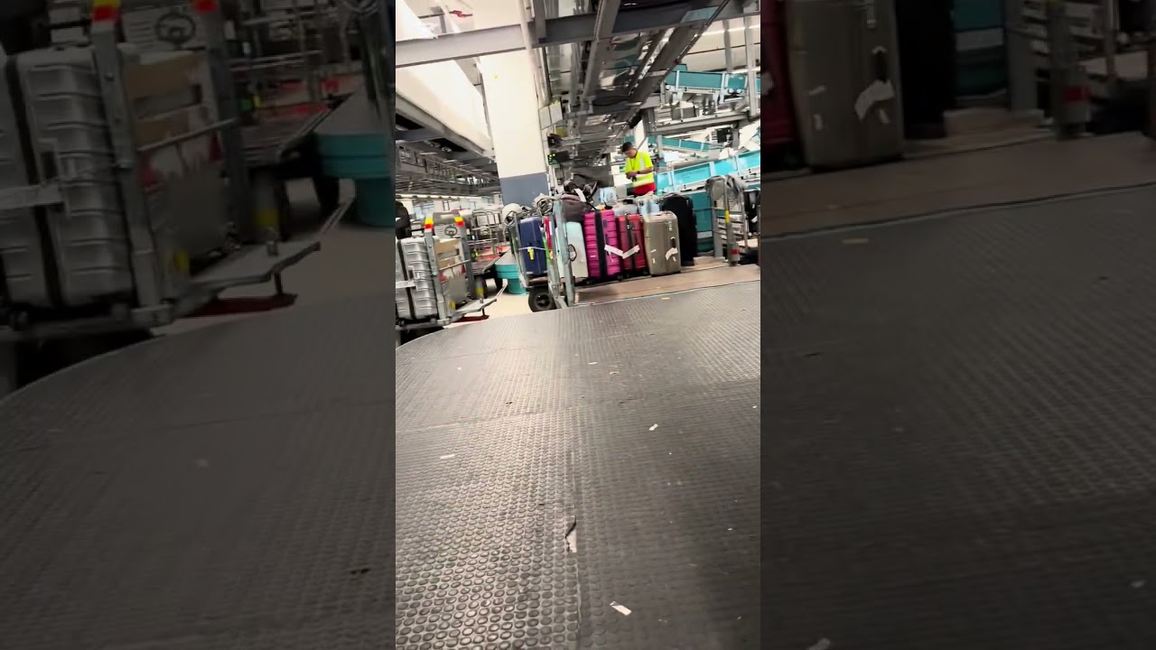 İsviçre’de Bagaj ve Cargo Taşımacılığı..