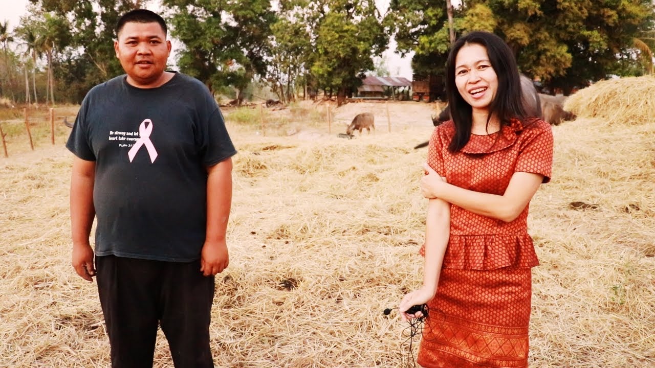 วิธีให้ควายกินรำข้าวแบบง่ายๆไม่ต้องมีสูตร by อีสานรีวิว