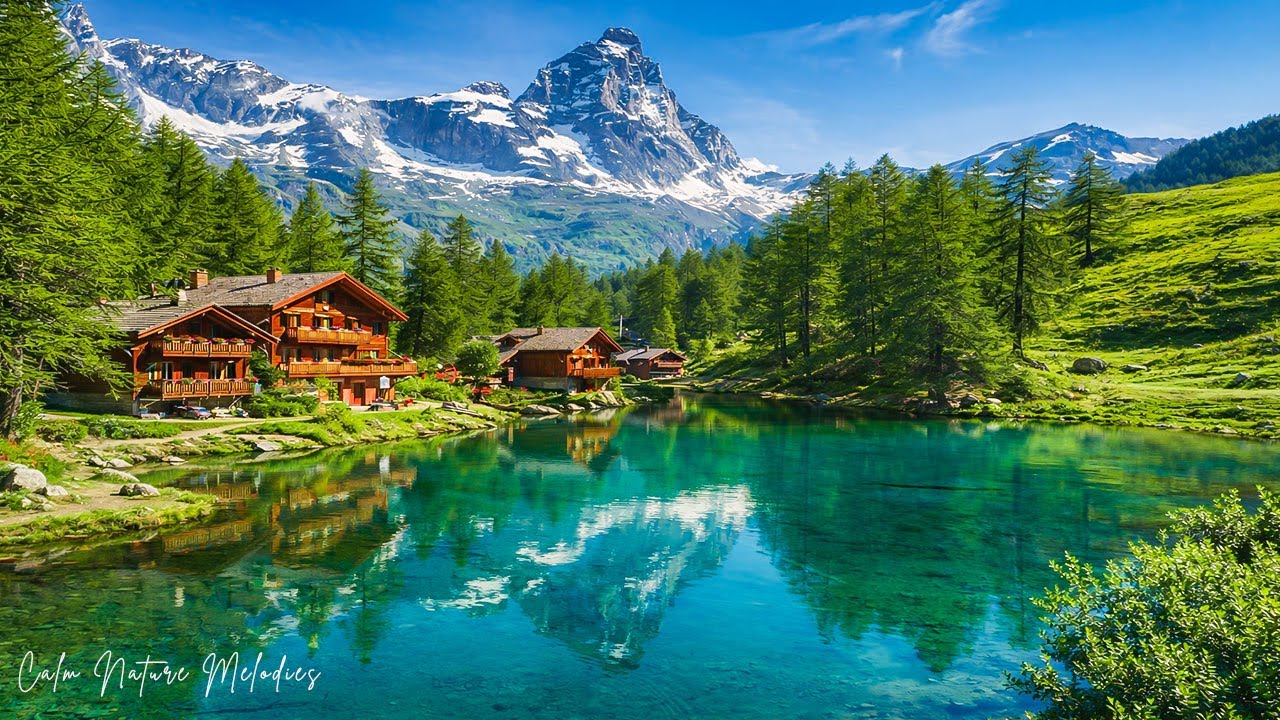Музыкальная терапия 🌿Успокаивает нервную систему и освежает душу, расслабляет.