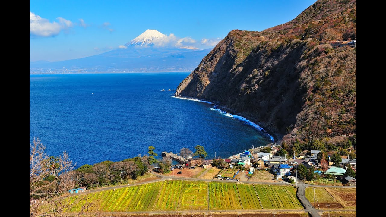 早春の伊豆の旅（４Ｋ）＃富士山＃河津桜＃みなみの桜＃菜の花＃ドクターイエロー＃煌めきの丘＃雲見港＃戸田港＃大田子海岸＃日本一の夕陽#南伊豆町＃井田＃黄金崎＃早春の旅