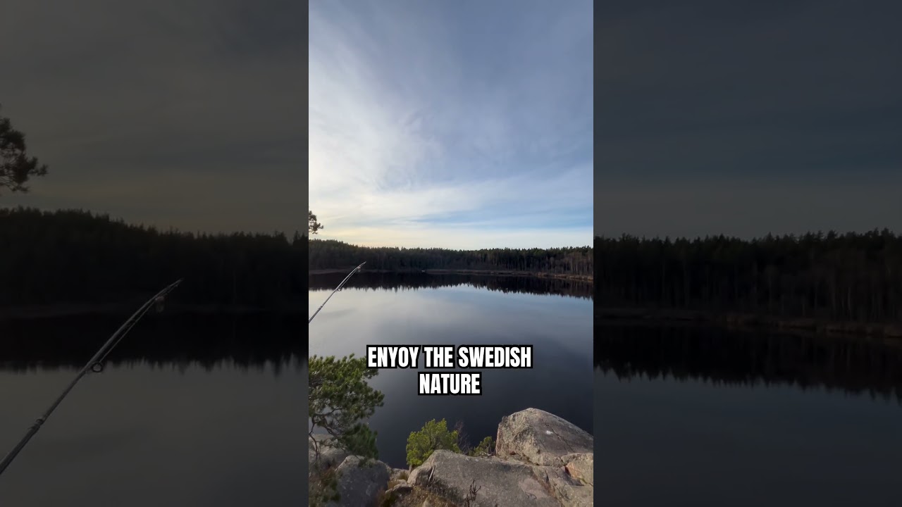 Swedish Nature is the best! 