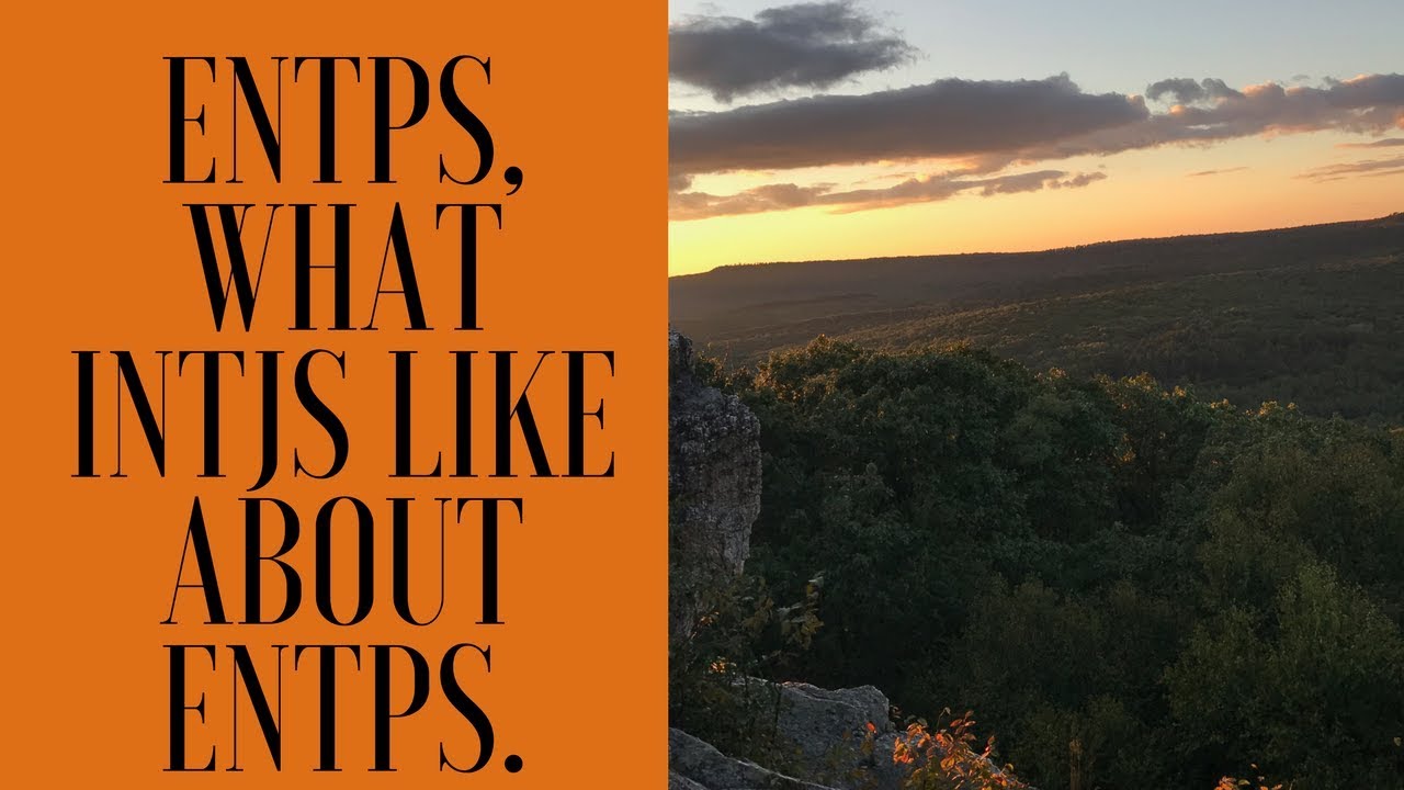 ENTPS, What INTJS like about ENTPS