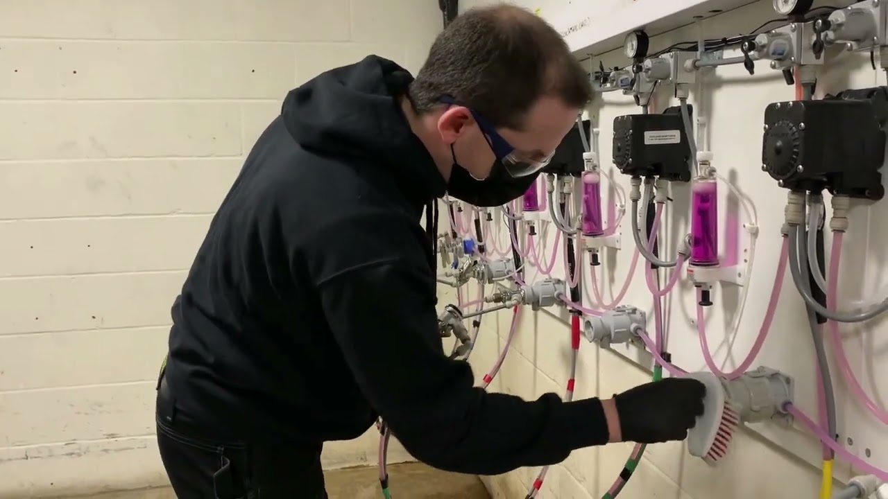 Professional Beer Line Cleaning Video