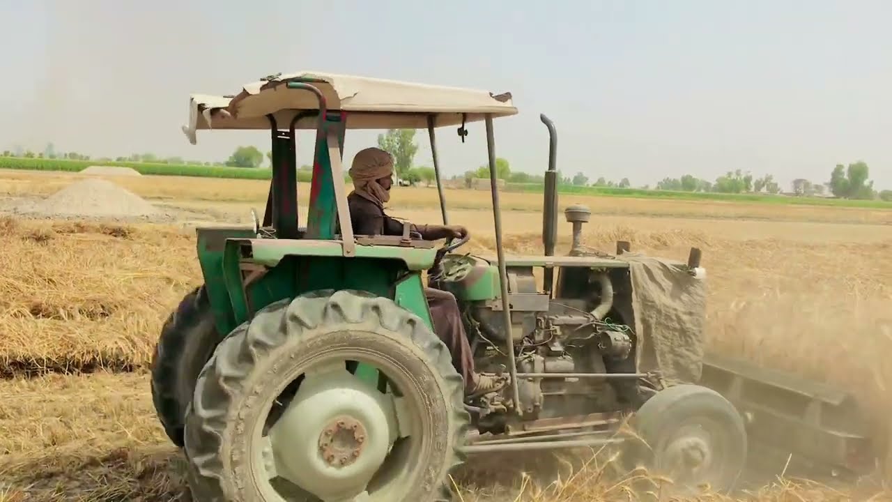 wheat reaper mf 240 tractor k sath in punjab pakistan